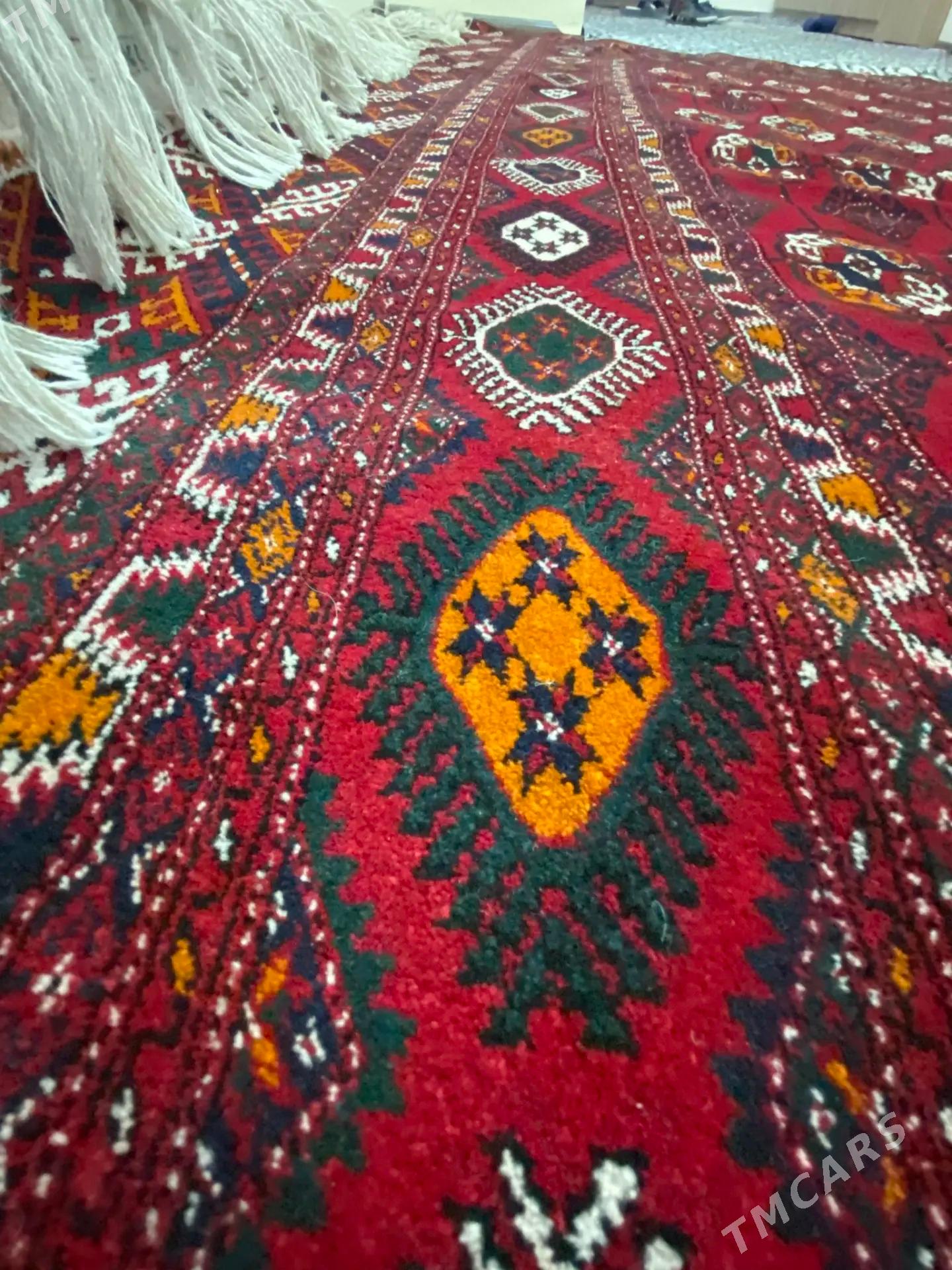 el haly - Täze zaman - img 2