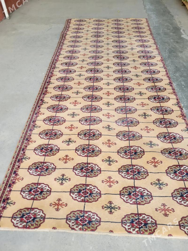 Haly - Ашхабад - img 2