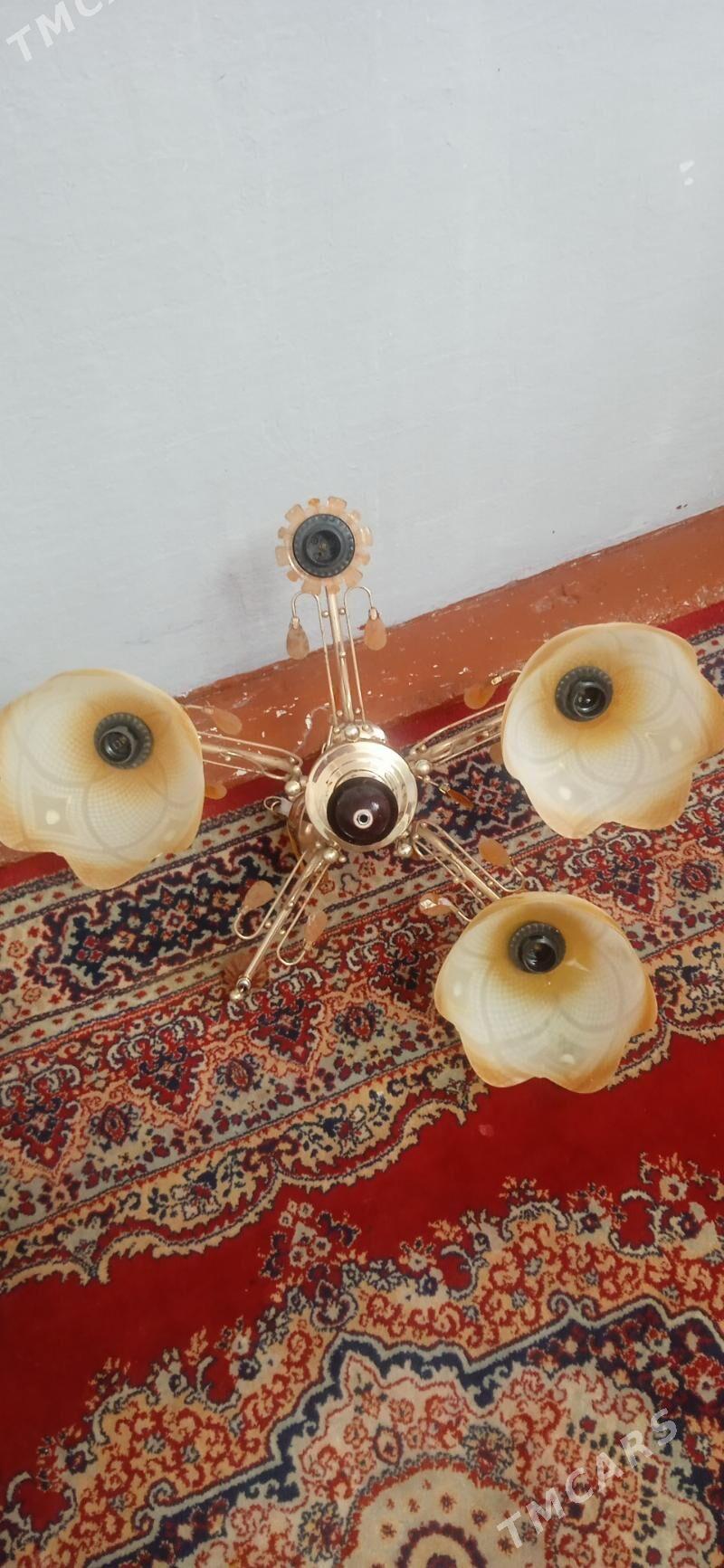 АМАТЛЫЖА ЛЮСТРА - Mary - img 3