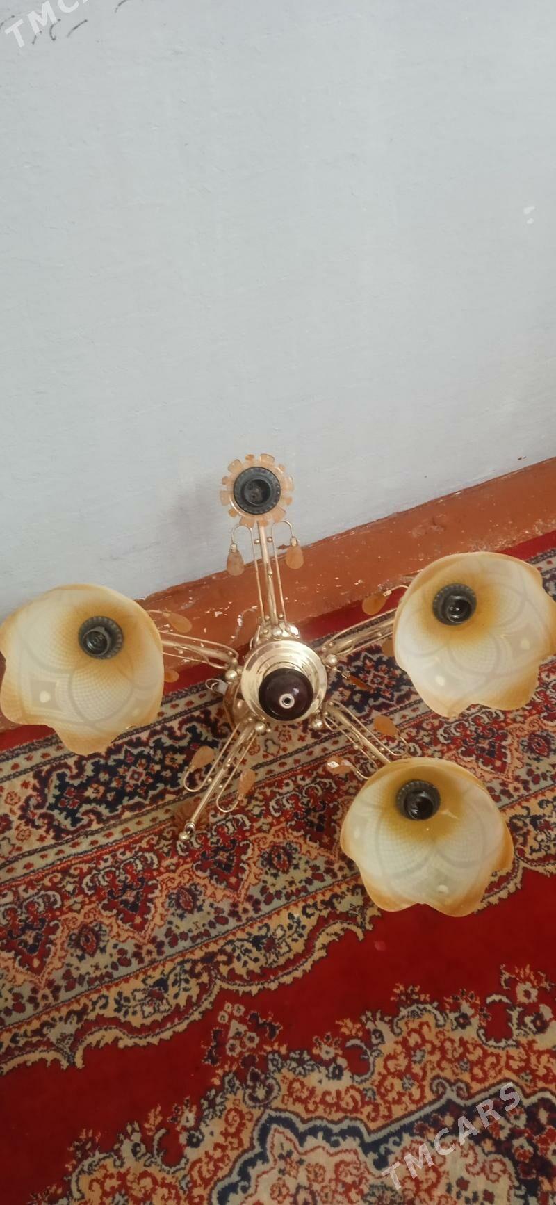 АМАТЛЫЖА ЛЮСТРА - Mary - img 5