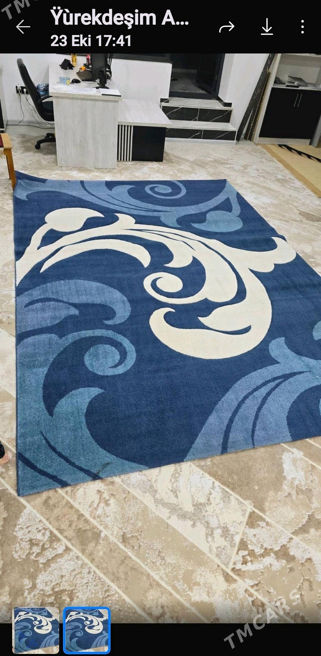 Haly - Херрикгала - img 1