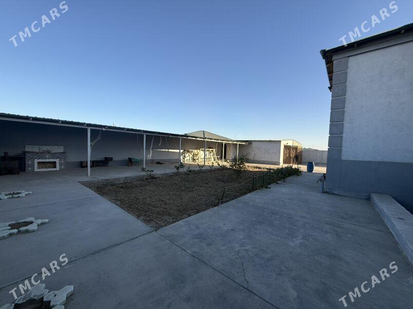 jay - Дашогуз - img 6