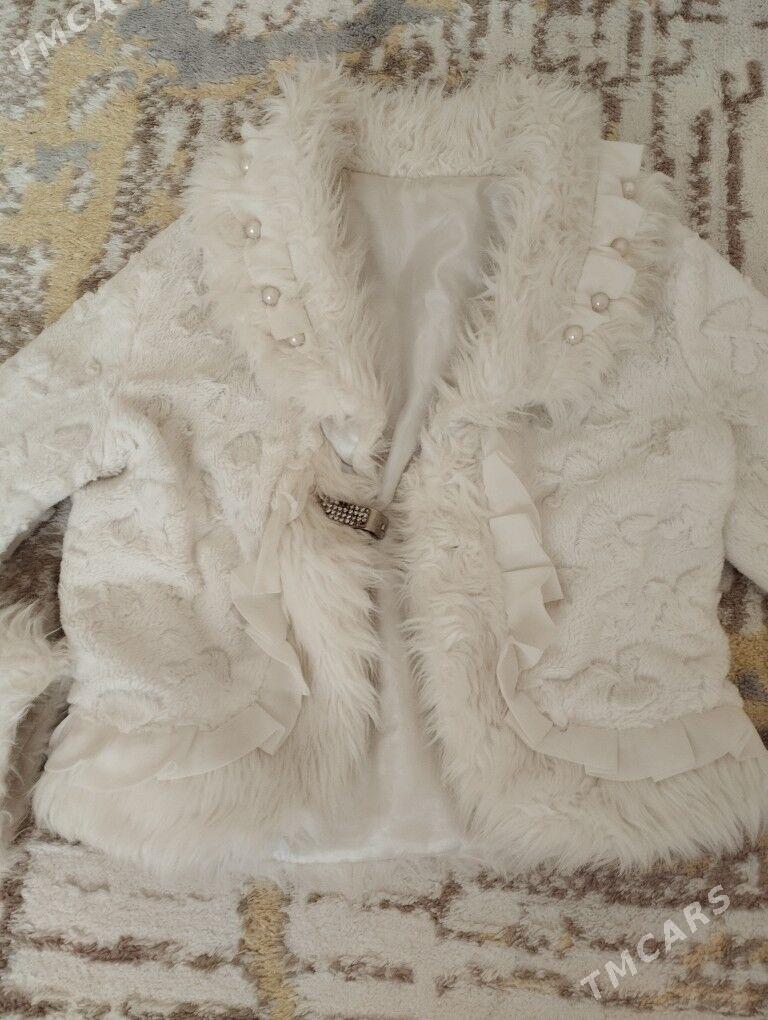 PALTO - Arkadag - img 2