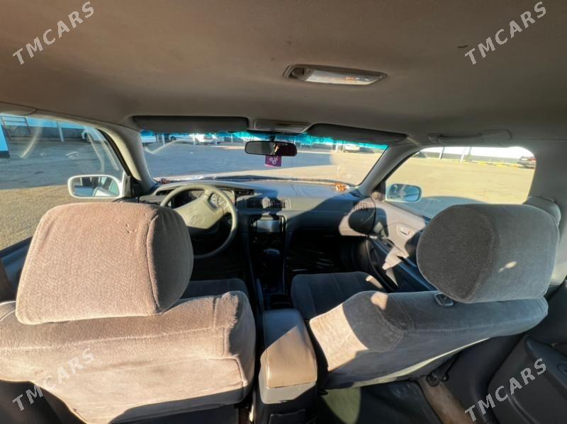 Toyota Camry 2001 - 170 000 TMT - Boldumsaz - img 5