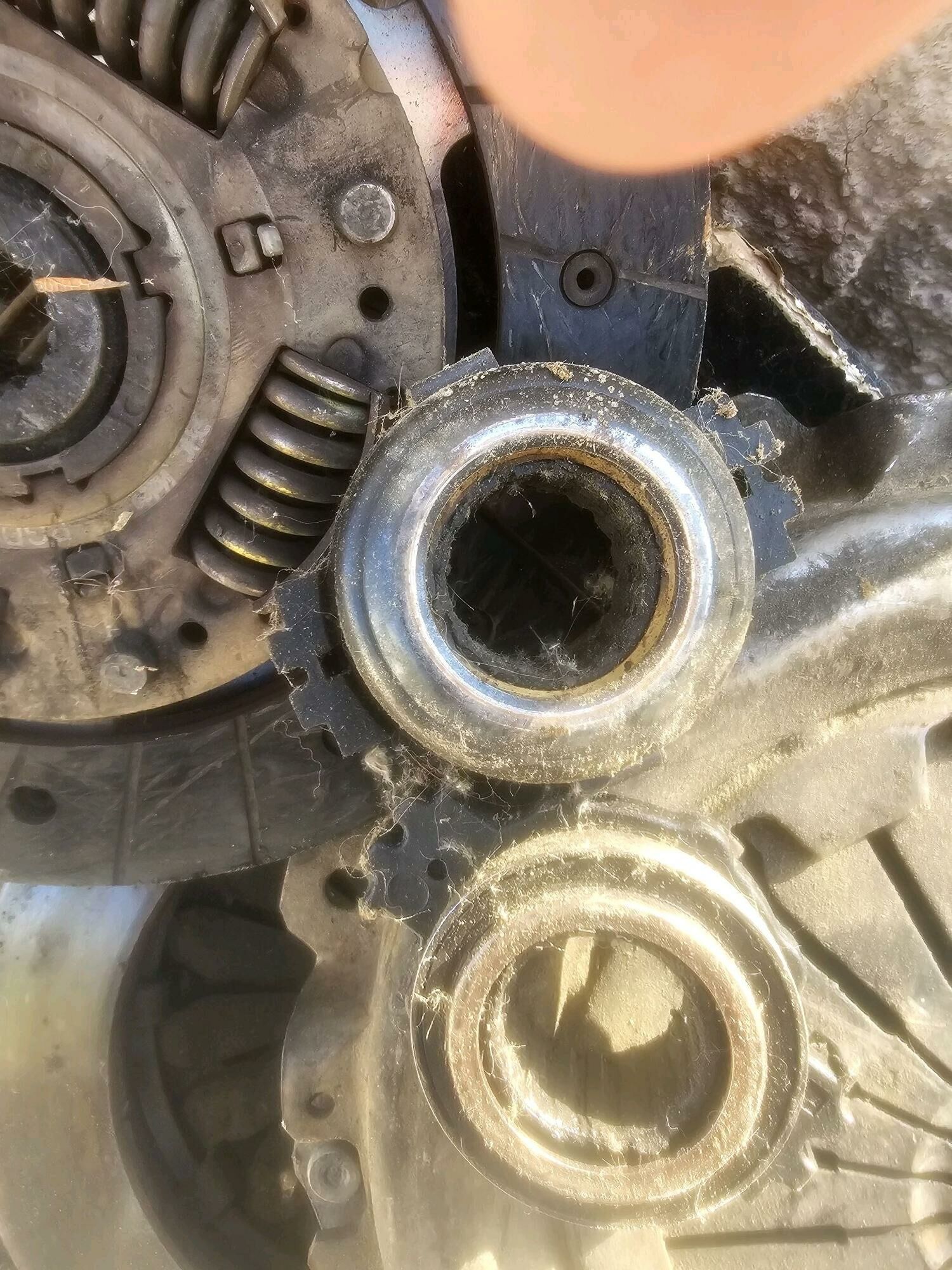 feredo wyjymnoy 200 TMT - Ашхабад - img 3