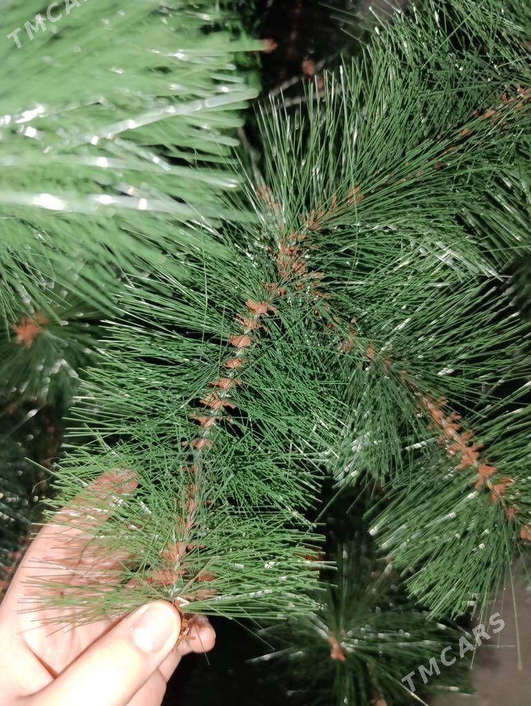 ýolka - Ашхабад - img 2