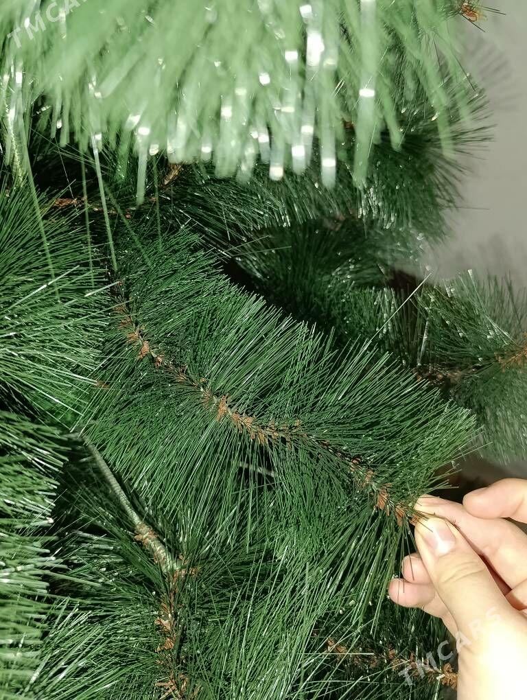 ýolka - Ашхабад - img 3