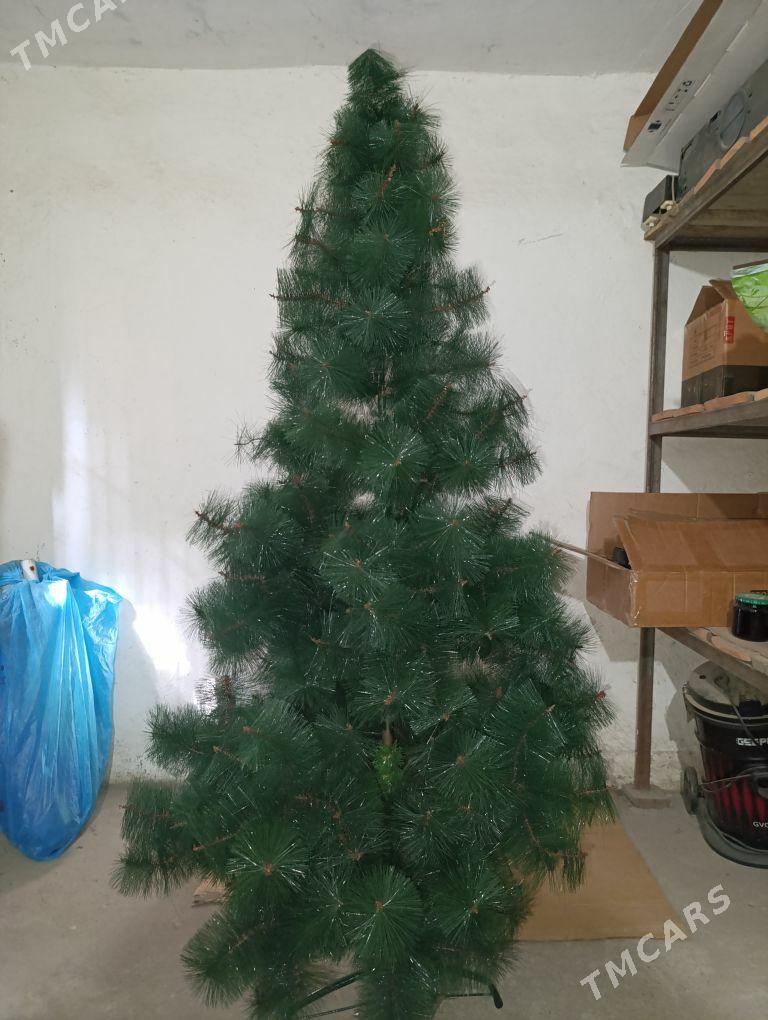 ýolka - Ашхабад - img 1