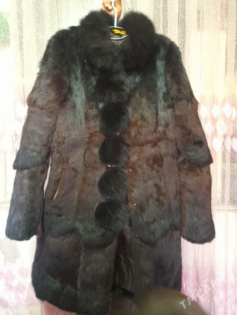 Şuba - Daşoguz - img 4