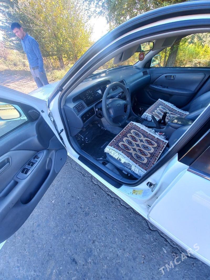 Toyota Camry 2001 - 169 000 TMT - Şabat etr. - img 7