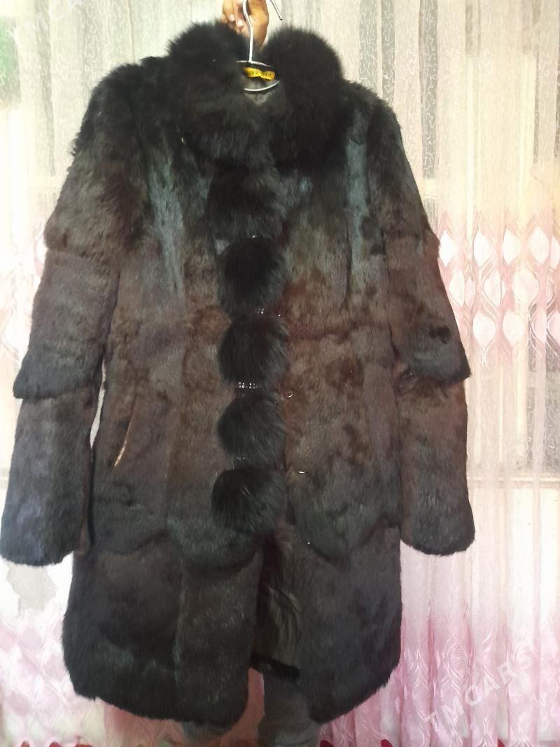 Şuba - Daşoguz - img 3