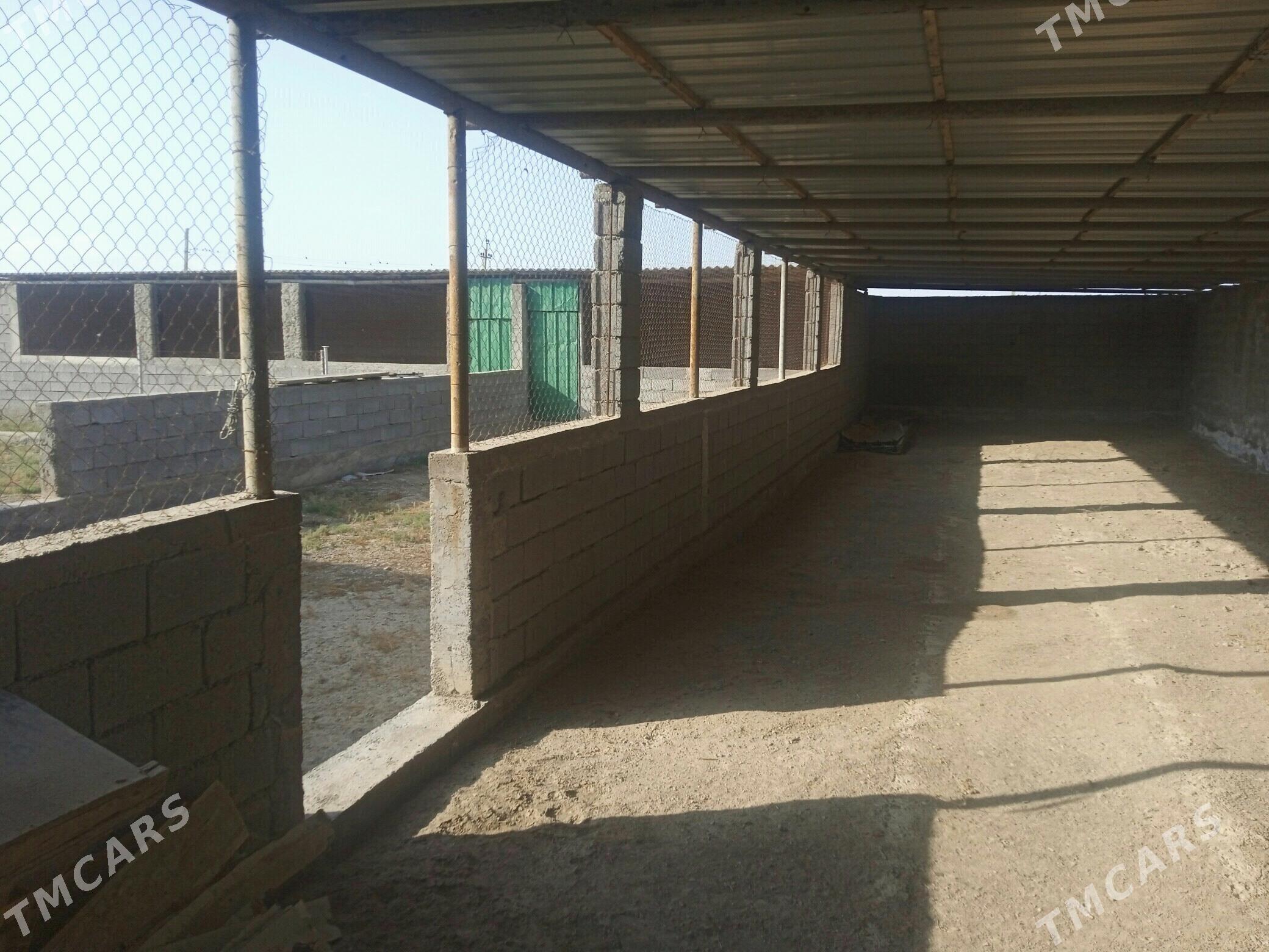 Gokdepe mellek yer. - Gökdepe - img 5