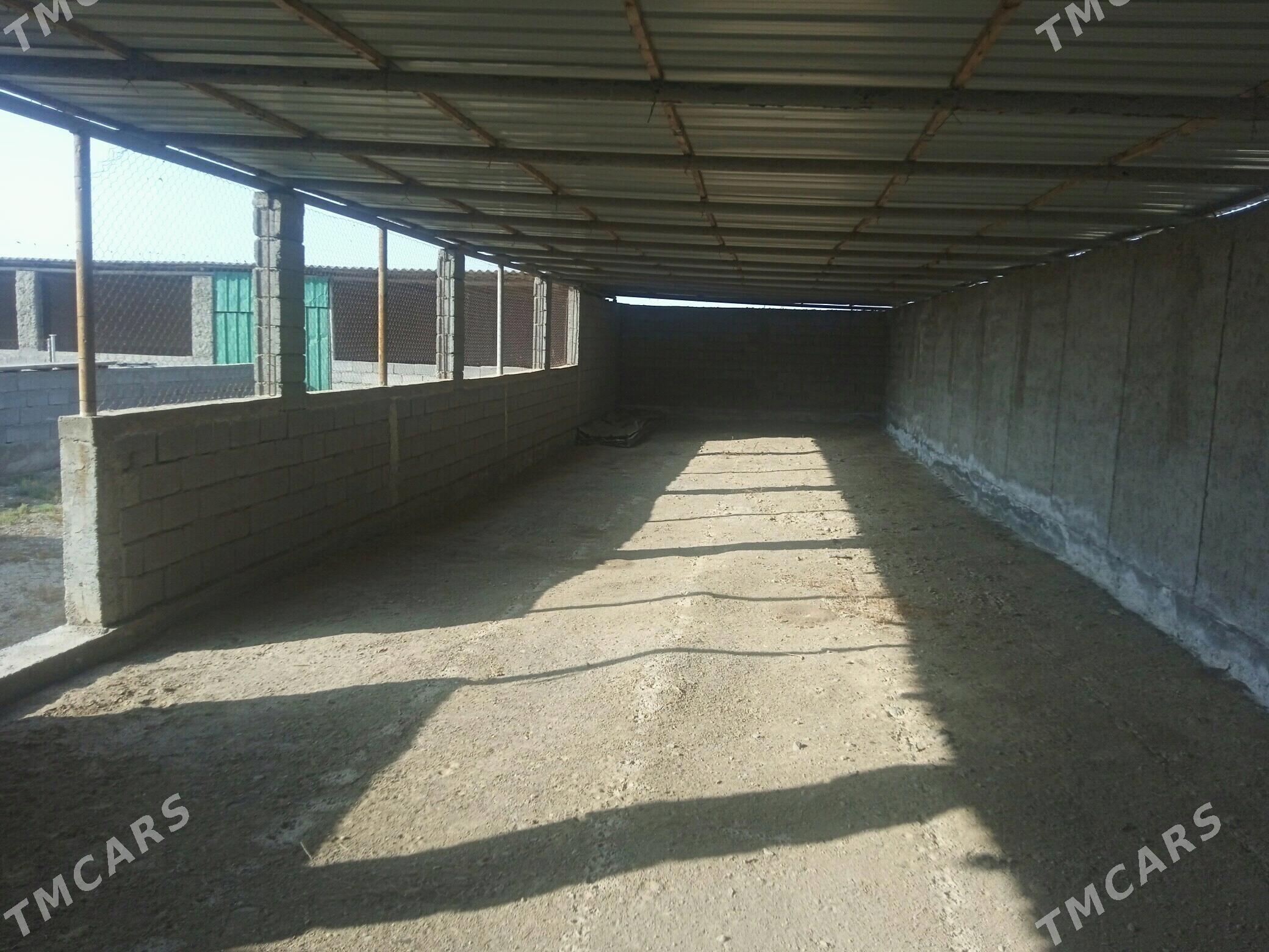 Gokdepe mellek yer. - Gökdepe - img 6