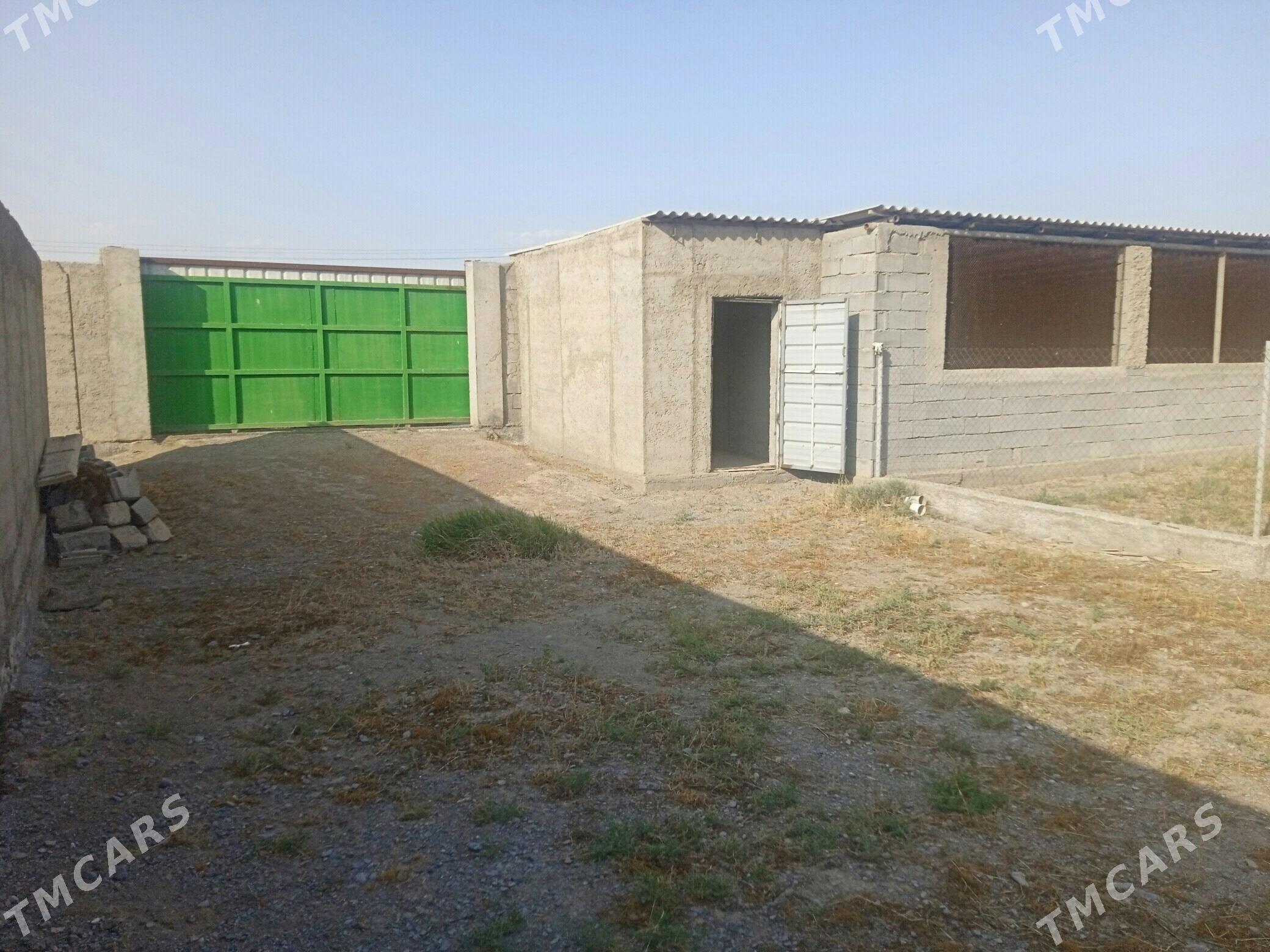 Gokdepe mellek yer. - Gökdepe - img 4