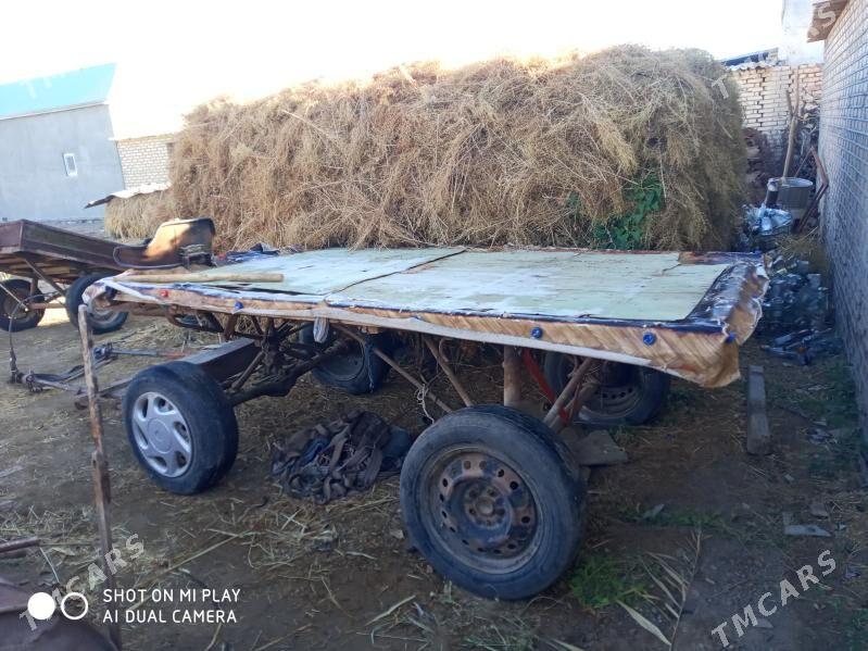 Ешек араба - Wekilbazar - img 2