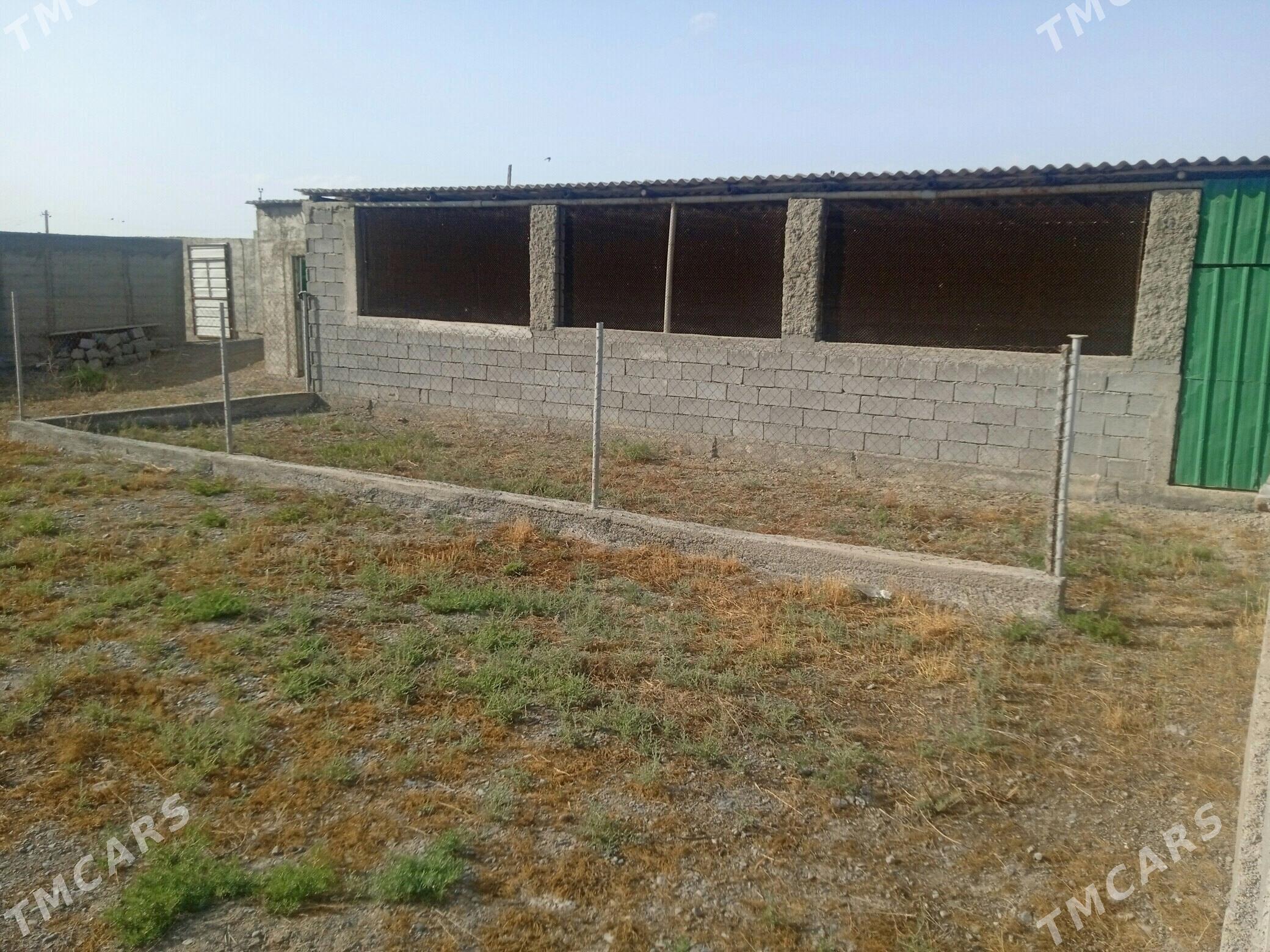 Gokdepe mellek yer. - Gökdepe - img 3