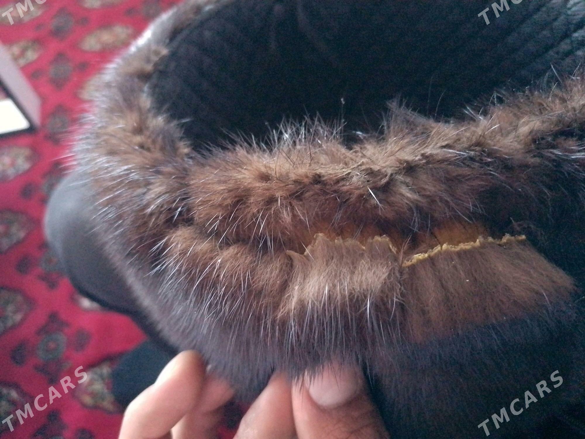 norka telpek - Baýramaly - img 3