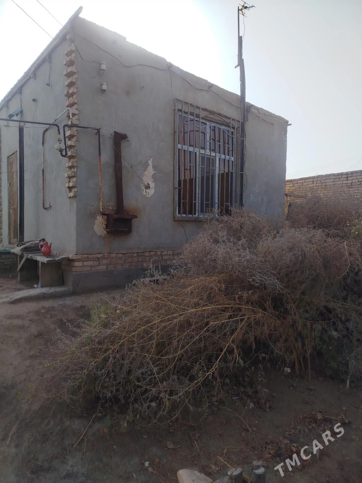 продаю дачу - Türkmenabat - img 3