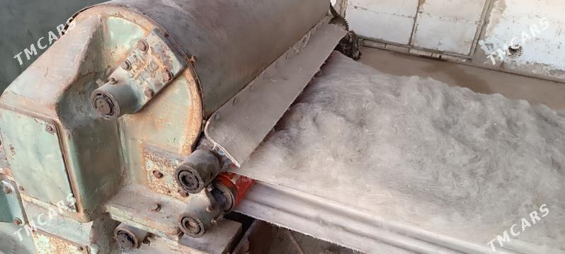 yun (yün) tuydyan - Мары - img 2