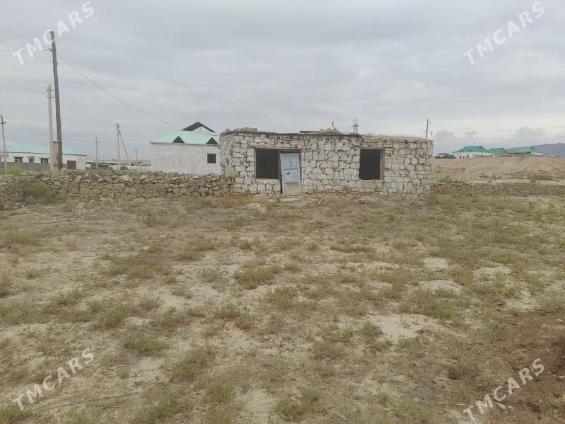 Satlyk jay - Magtymguly - img 4