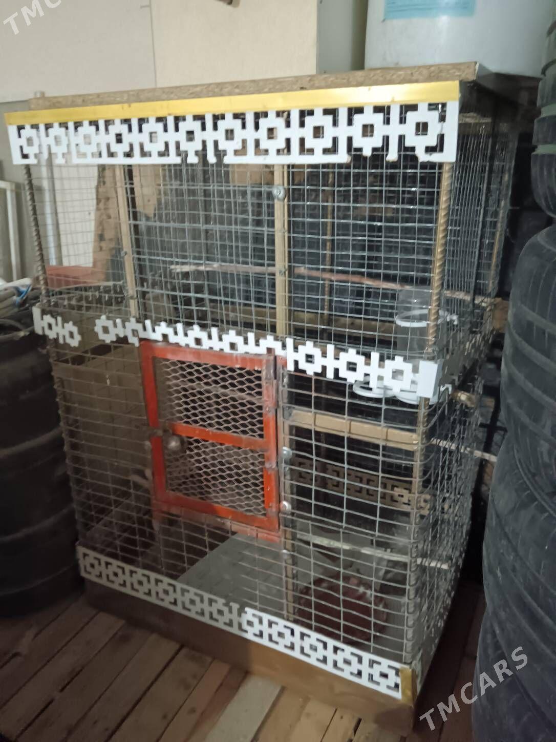 Gus kletka 0.96*0.68*0.50 - Багир - img 2