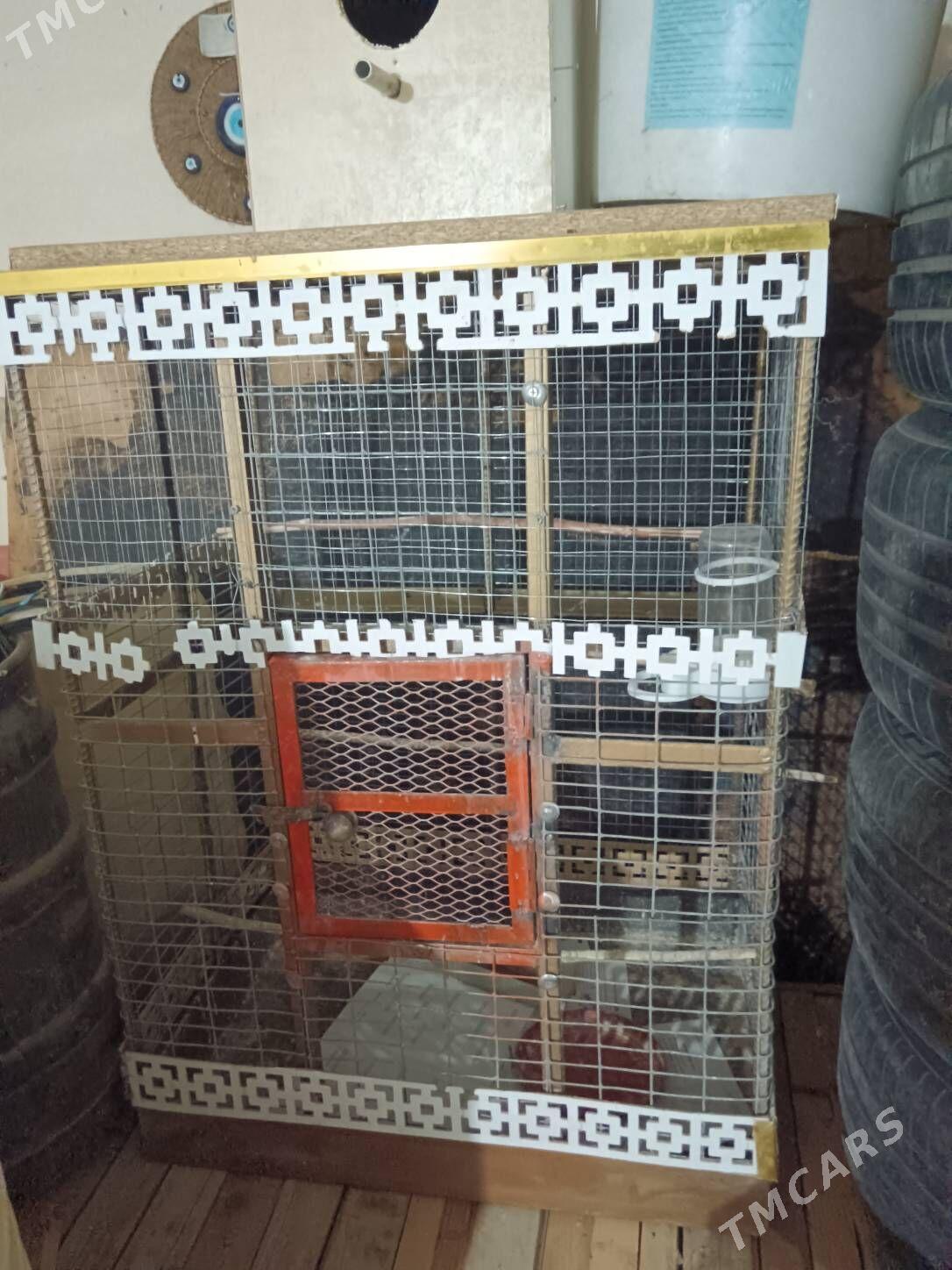 Gus kletka 0.96*0.68*0.50 - Багир - img 4