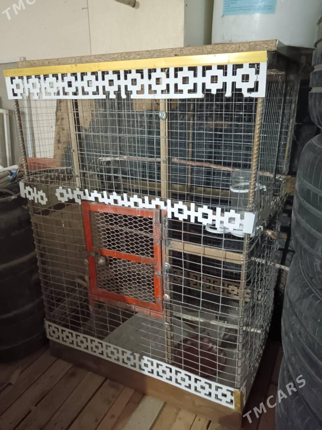 Gus kletka 0.96*0.68*0.50 - Багир - img 3