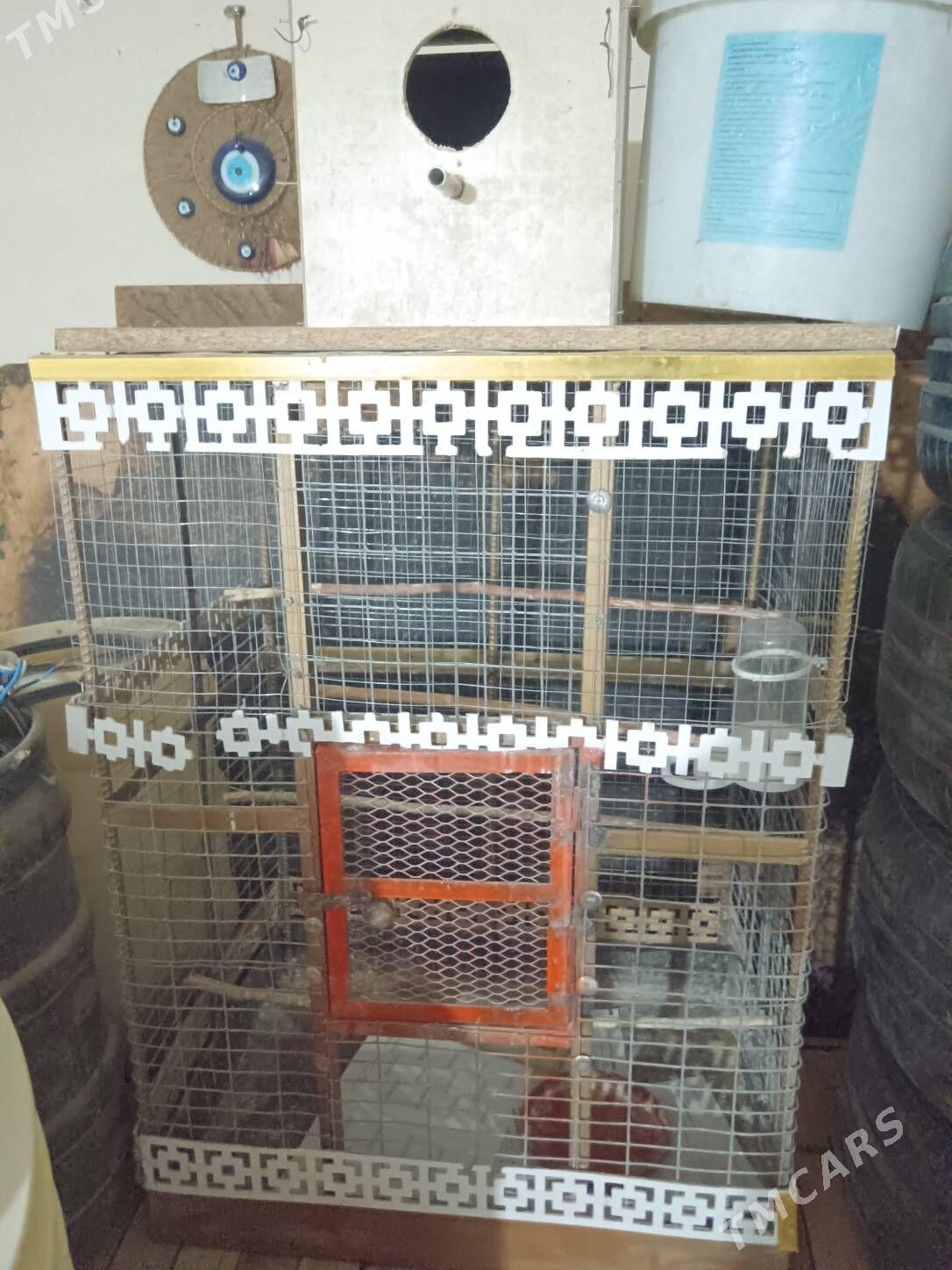 Gus kletka 0.96*0.68*0.50 - Багир - img 1