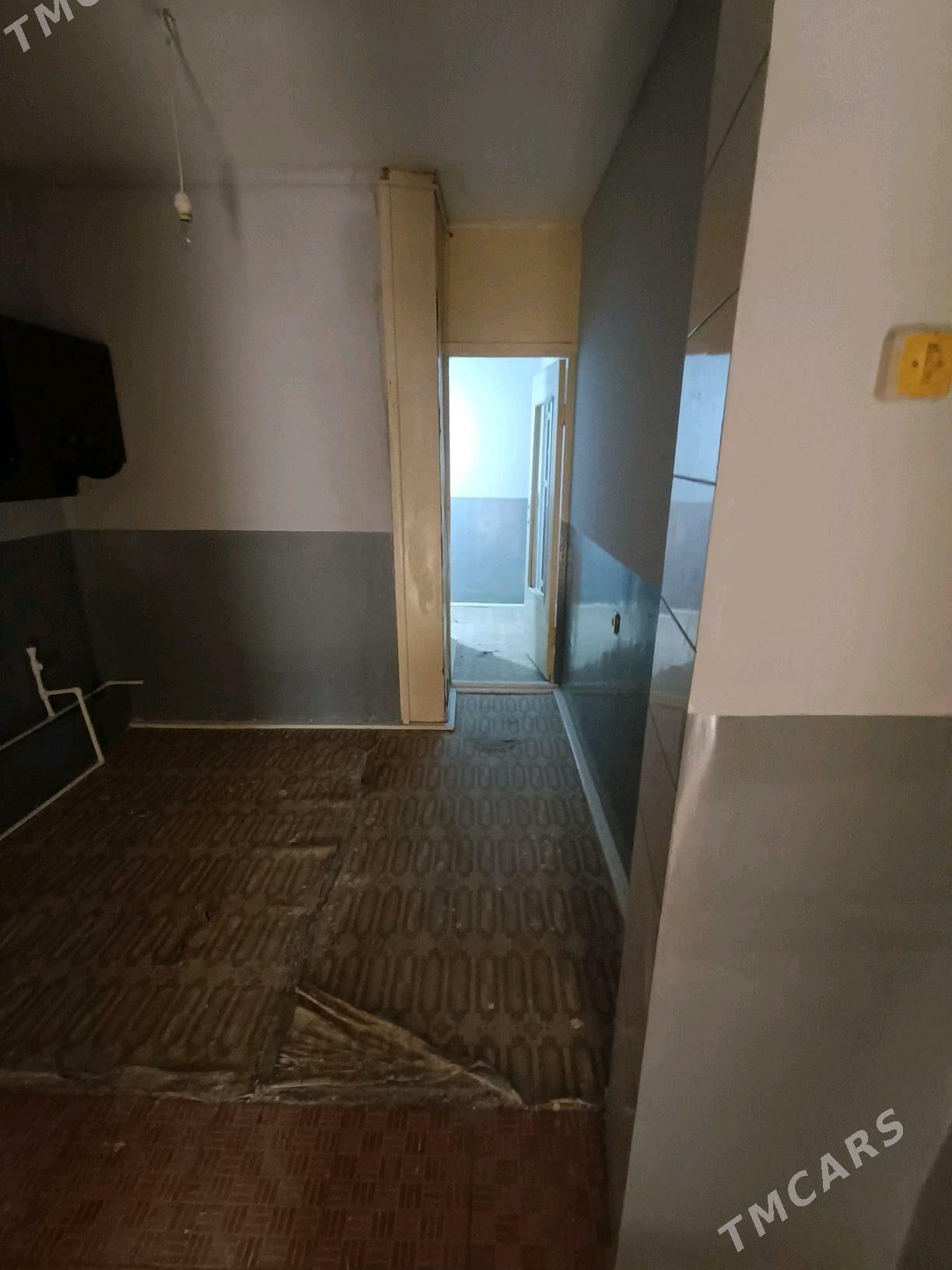 Satlyk jay - Mary - img 5