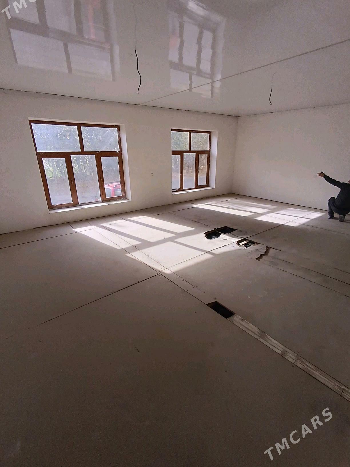 Satlyk jay - Mary - img 3