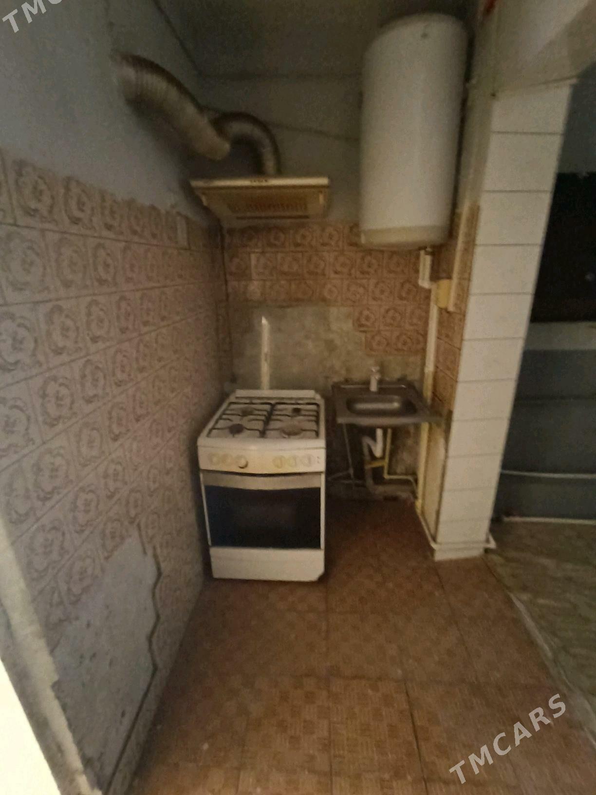 Satlyk jay - Mary - img 6