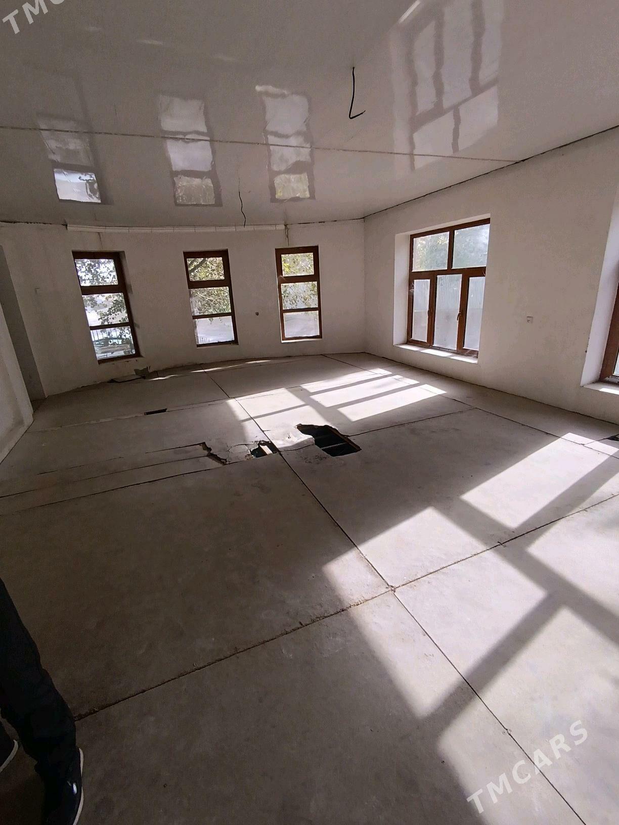 Satlyk jay - Mary - img 4