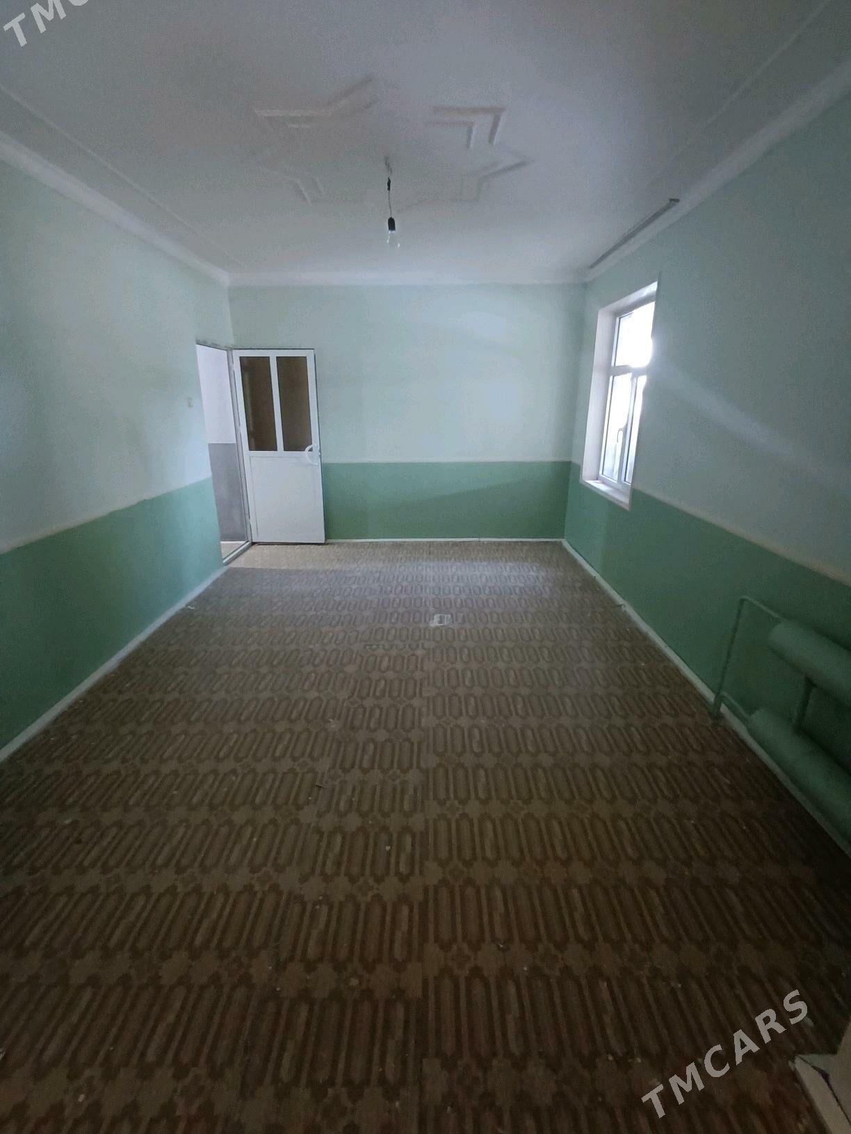 Satlyk jay - Mary - img 1