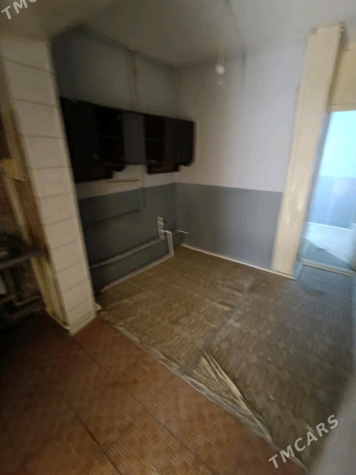 Satlyk jay - Mary - img 7