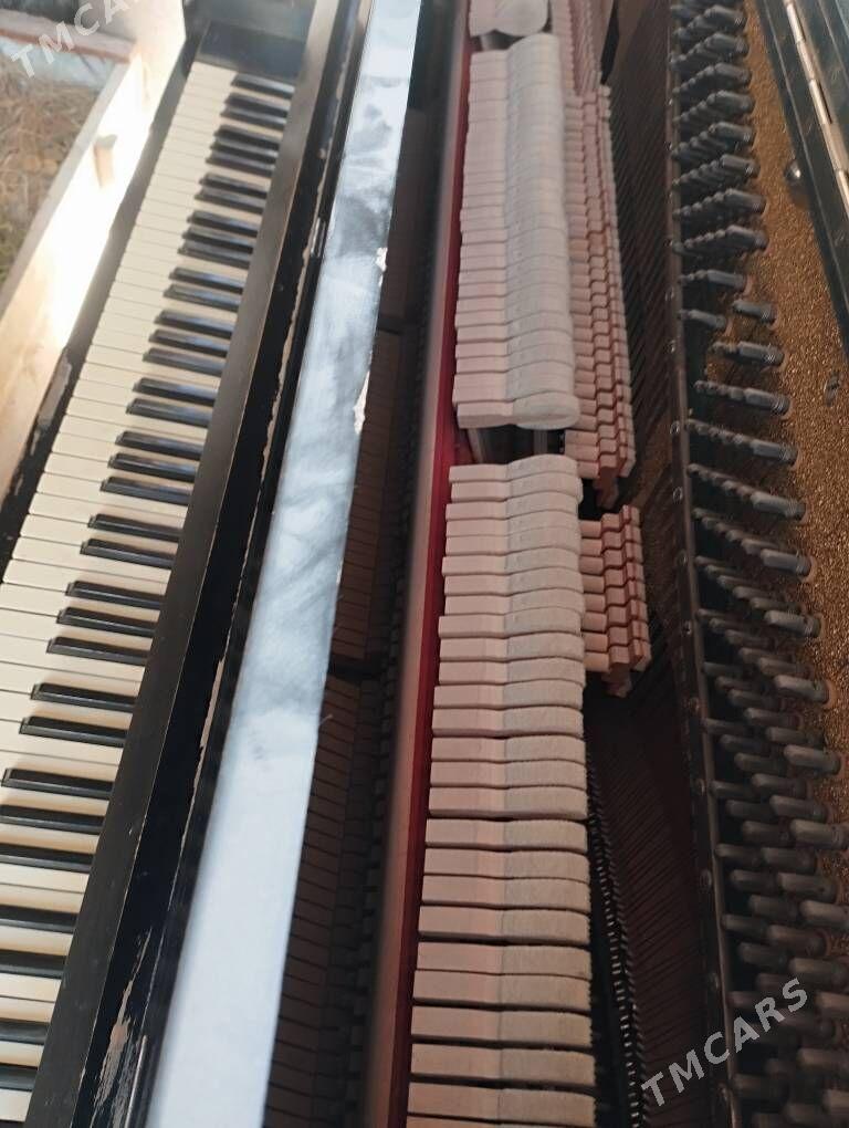 Пианино  Pianino - Sakar - img 2
