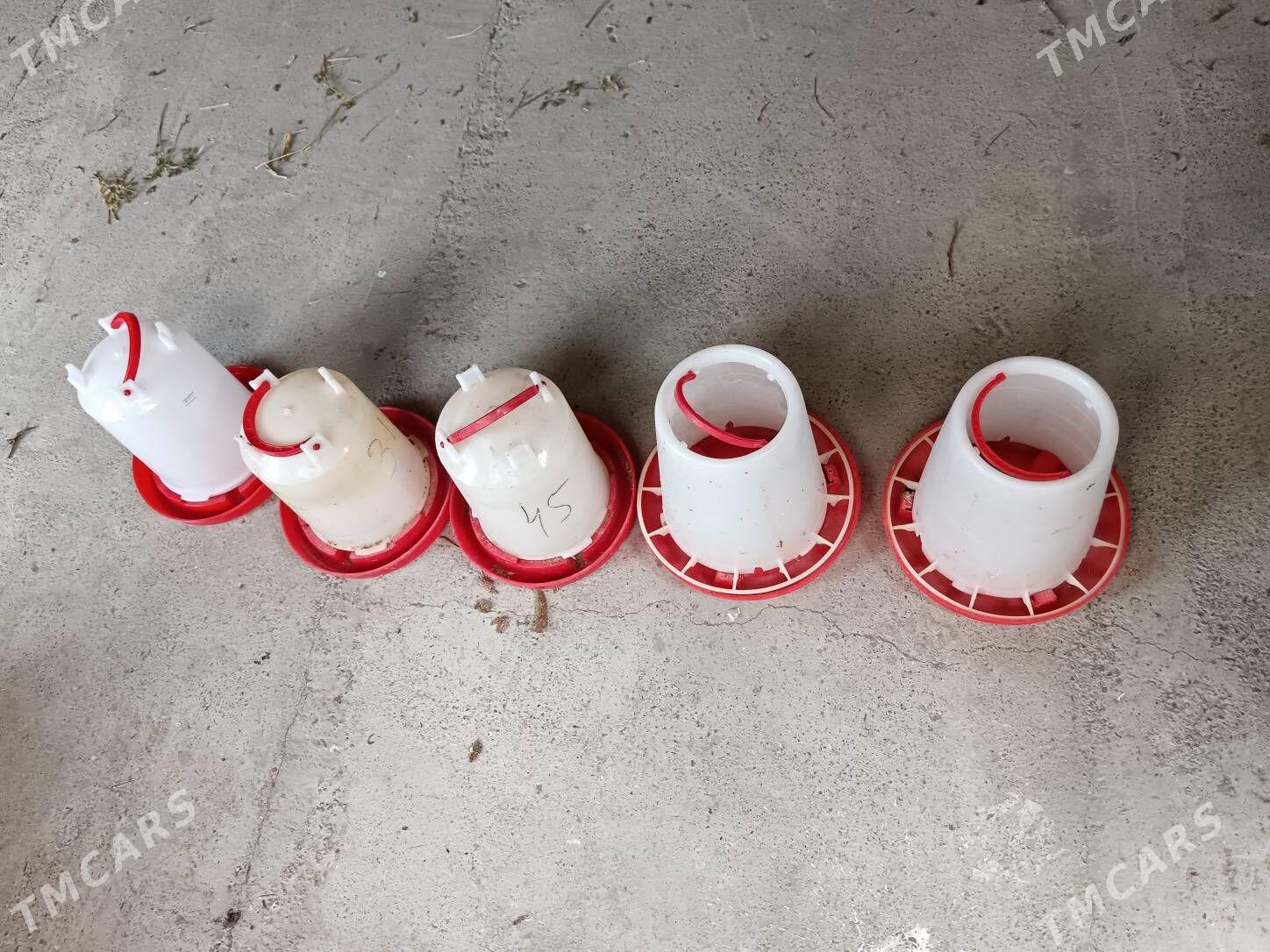 Towuk juyje suw iym berilyan - Багир - img 1