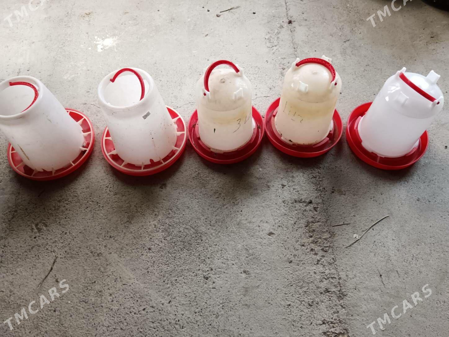 Towuk juyje suw iym berilyan - Багир - img 3