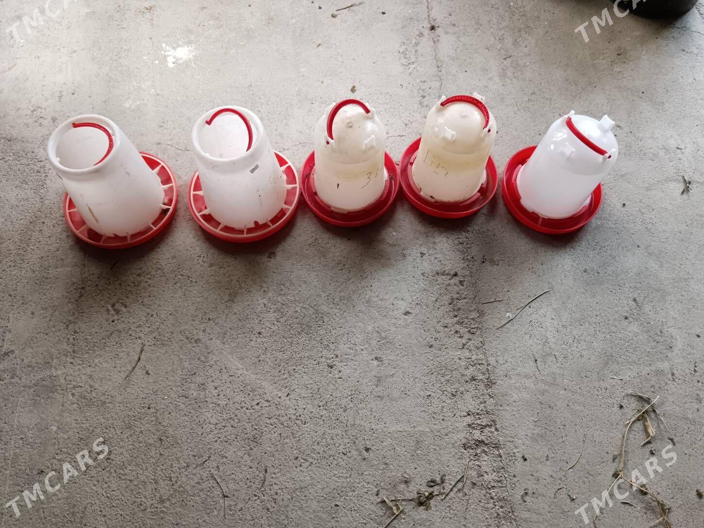 Towuk juyje suw iym berilyan - Багир - img 2