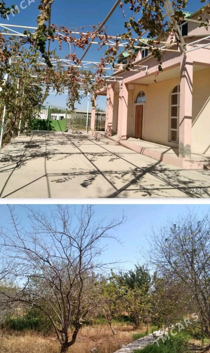 satlyk hay baherden - Bäherden - img 1