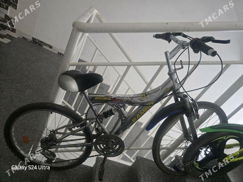 tigir welik - Gurtly - img 2