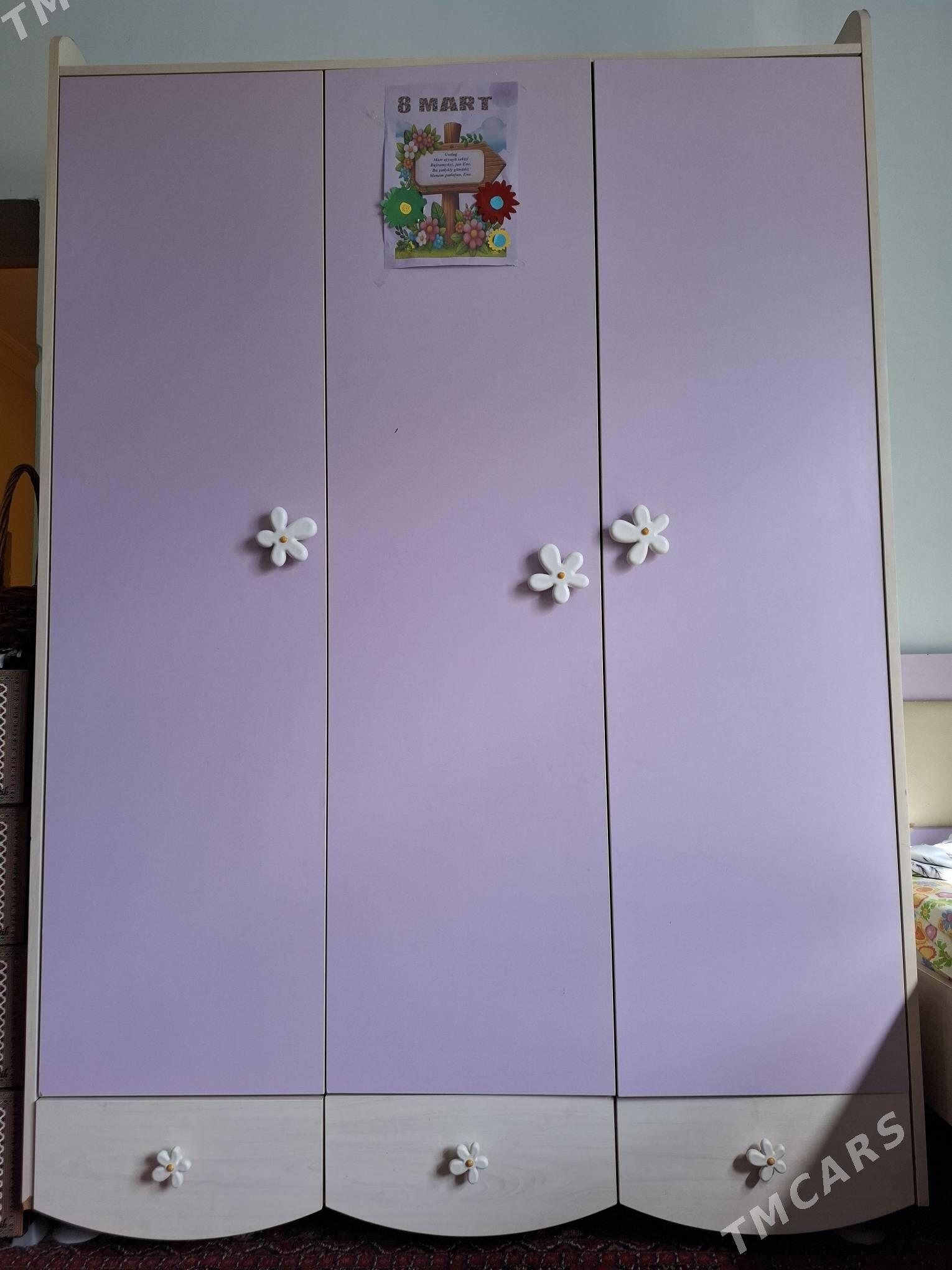 Çaga şfaner - Gökdepe - img 1