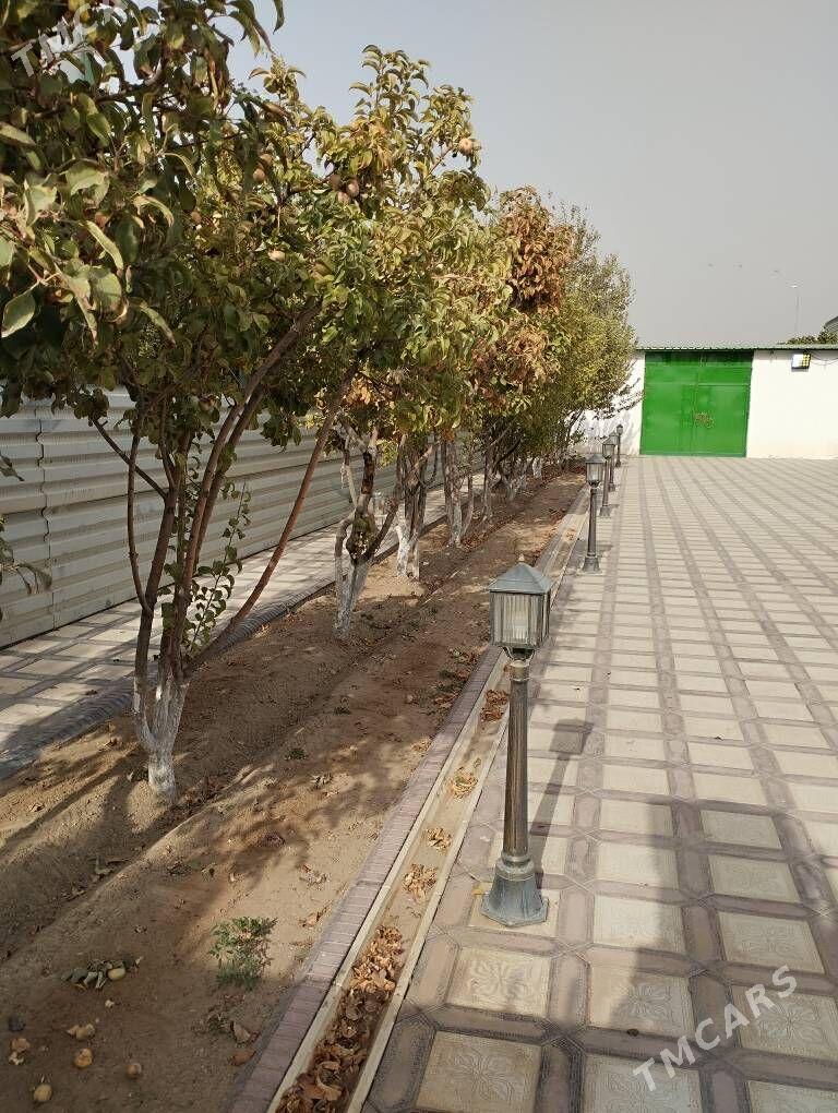 Taze zaman тазе заман - Тязе заман - img 1