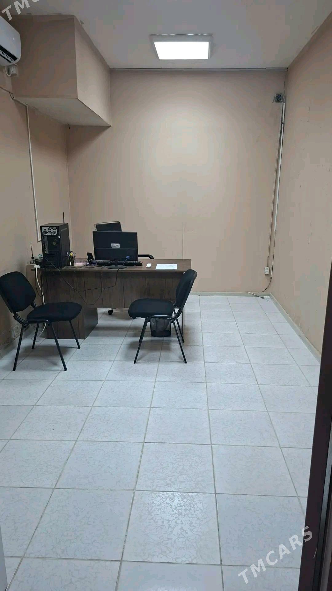 Ofis - Мир 7 - img 4