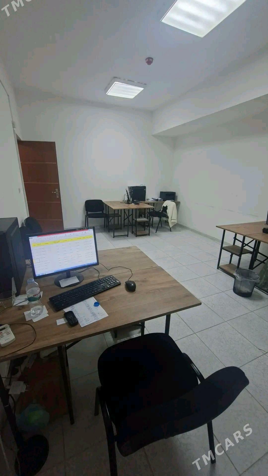 Ofis - Мир 7 - img 2