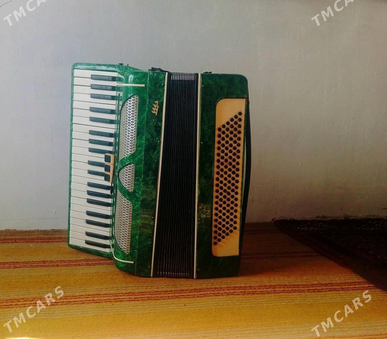 Saz guraly Akardion - Аркадаг - img 1