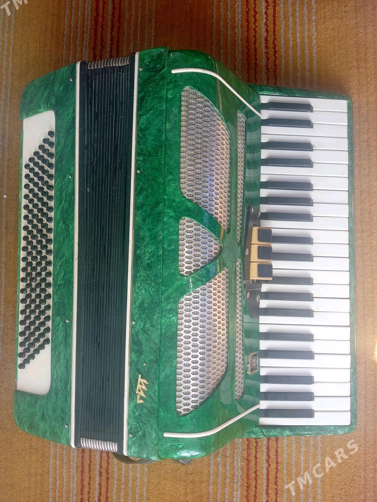 Saz guraly Akardion - Arkadag - img 2