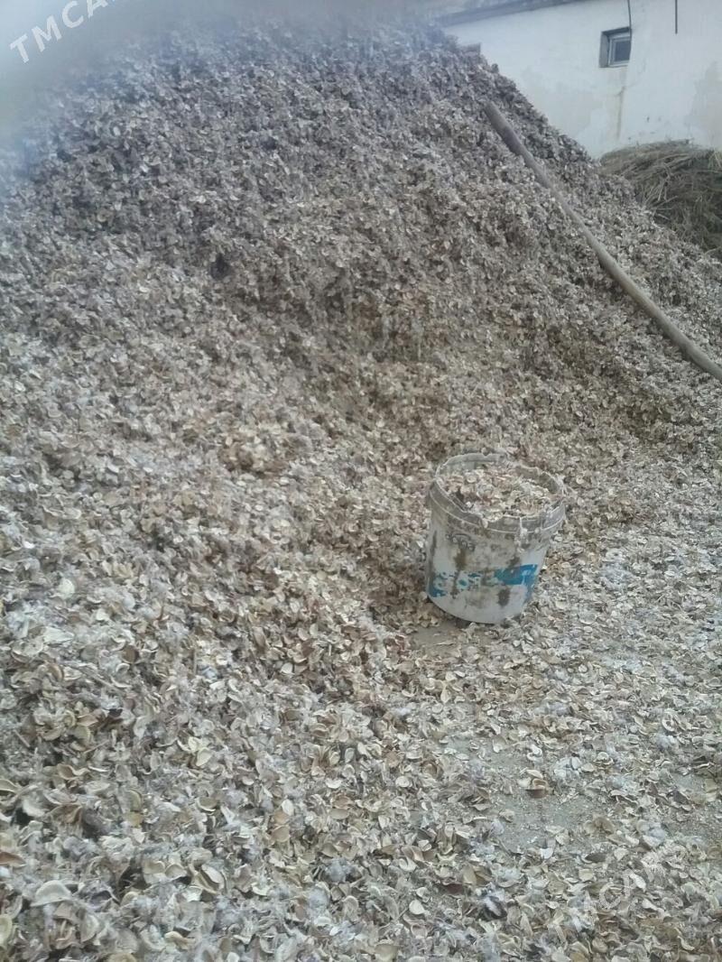 mal,iými,,çaññalak,, - Ak bugdaý etraby - img 2