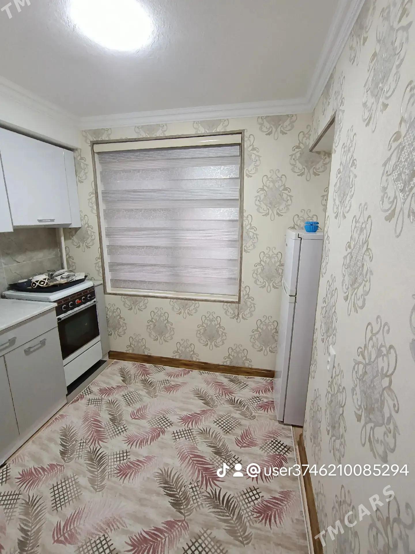 Satlyk jay - Mary - img 3