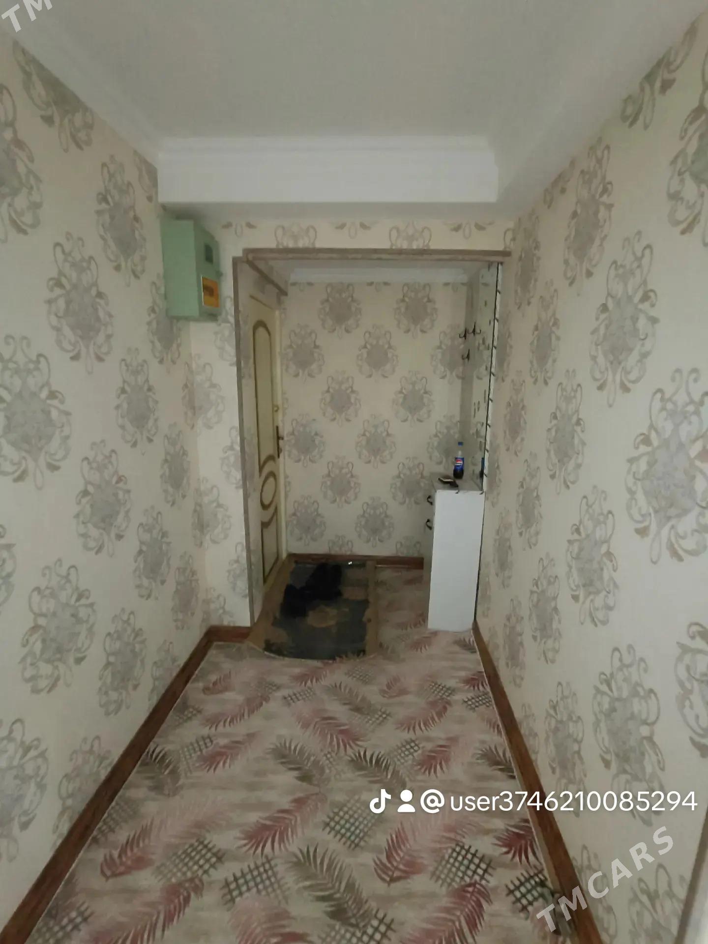 Satlyk jay - Mary - img 5