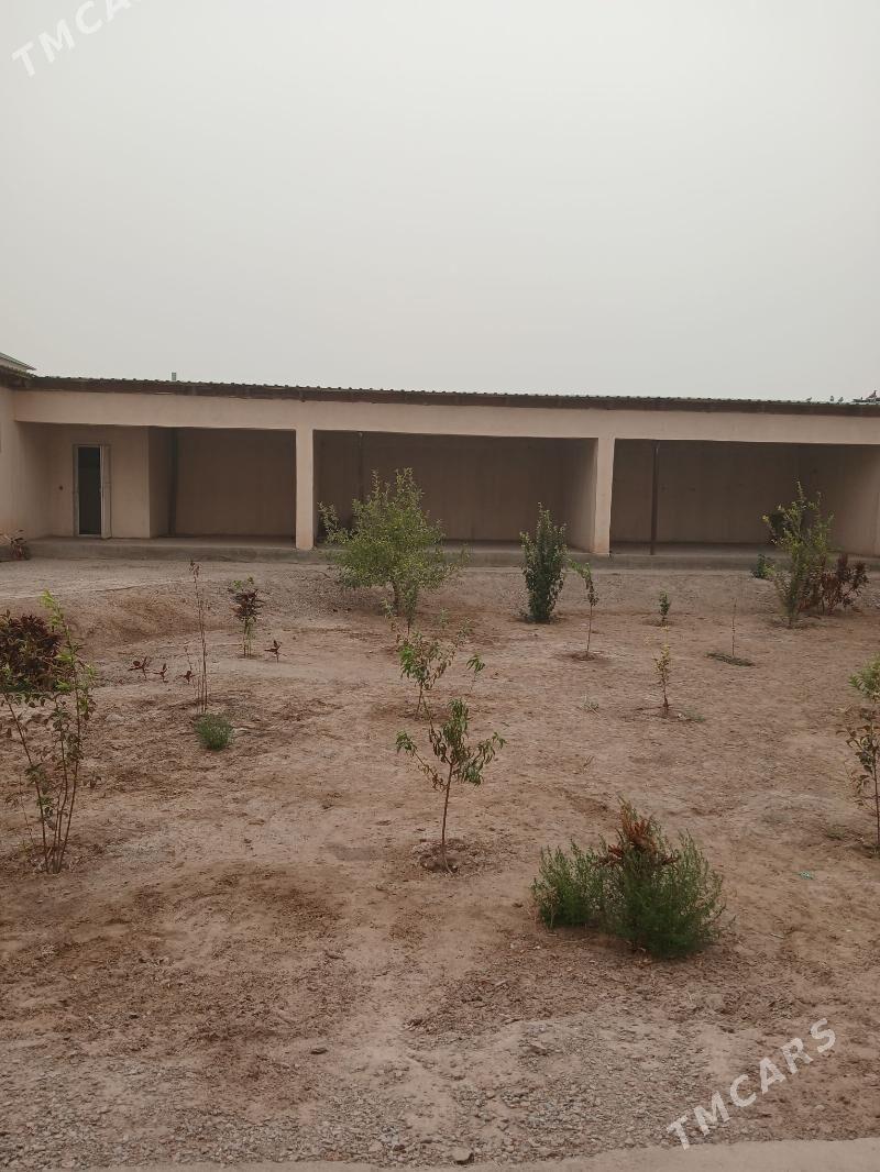 Elitga Jay  saherce - етр. Туркменбаши - img 3